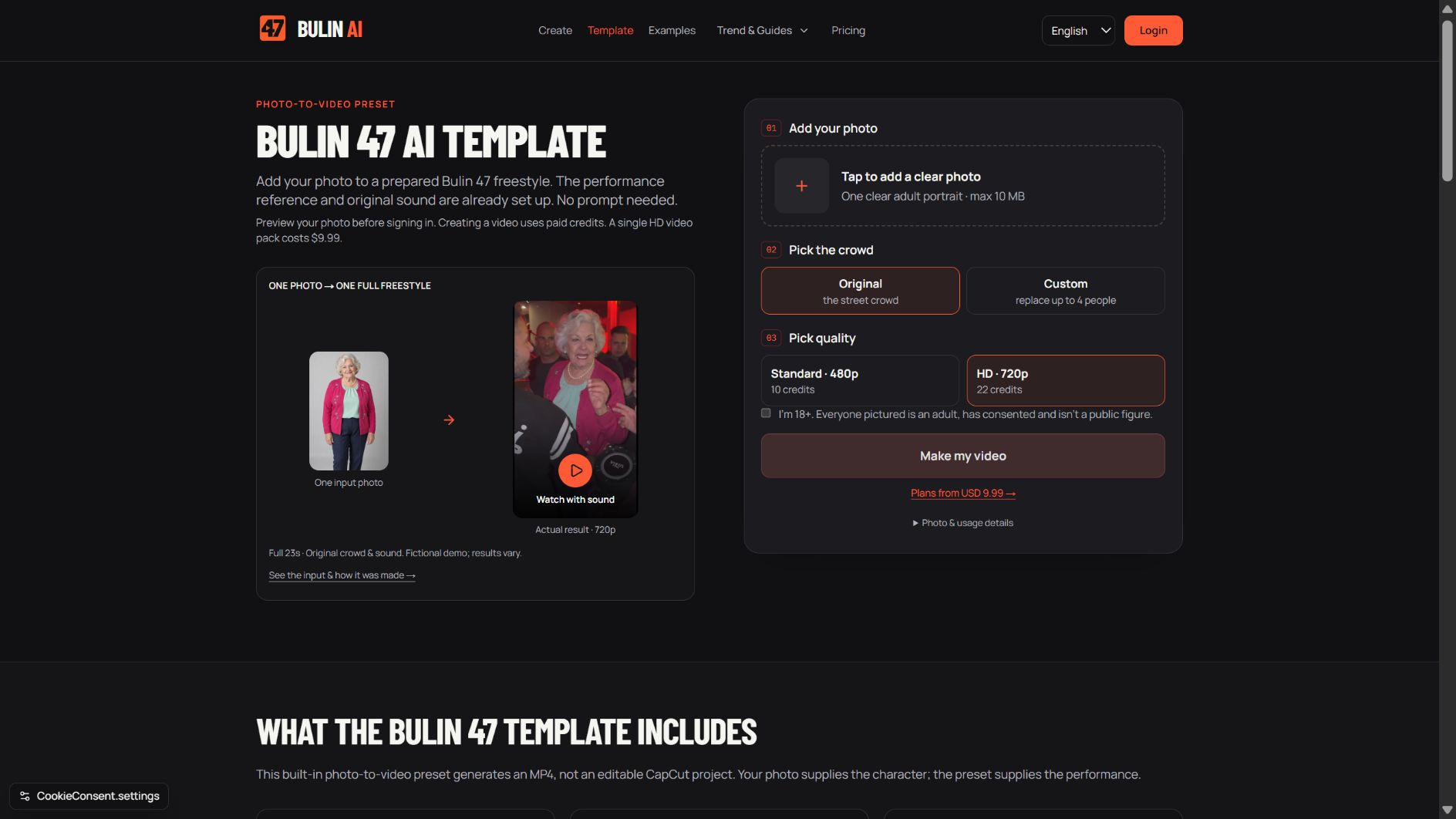 Bulin 47 AI Video Generator preview